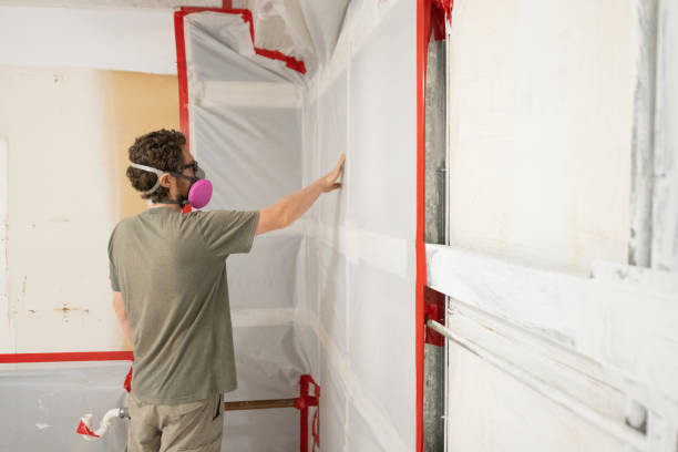 Best Indoor Air Quality Assessment  in Esko, MN