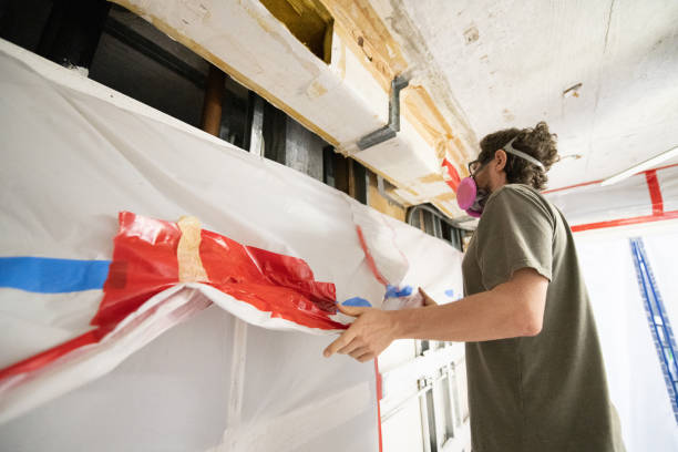 Best Industrial Mold Remediation  in Esko, MN