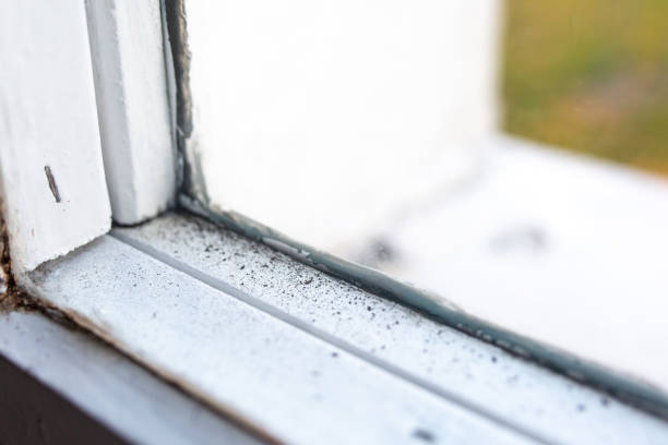 Mold Remediation for Vacation Homes in Esko, MN